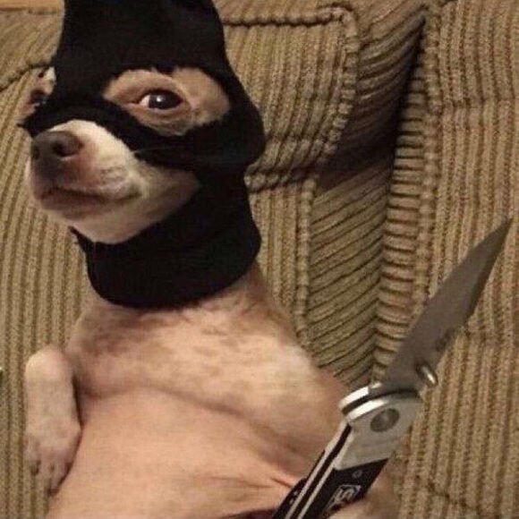 Meet your Posher, Jerry - Picture 1 of 1